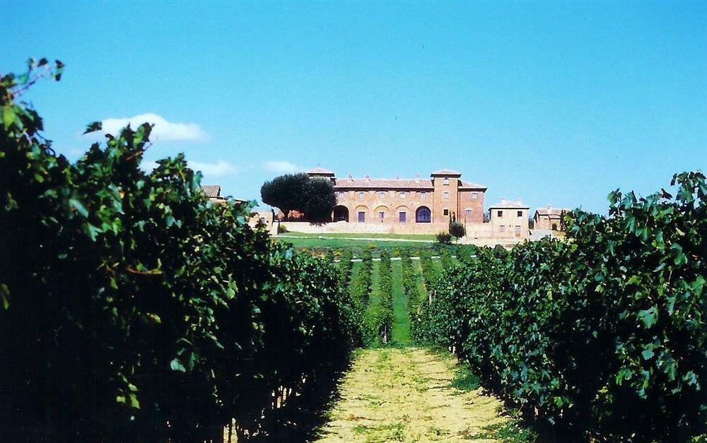 Agriturismo Terra Rossa Valiano Eksteriør billede