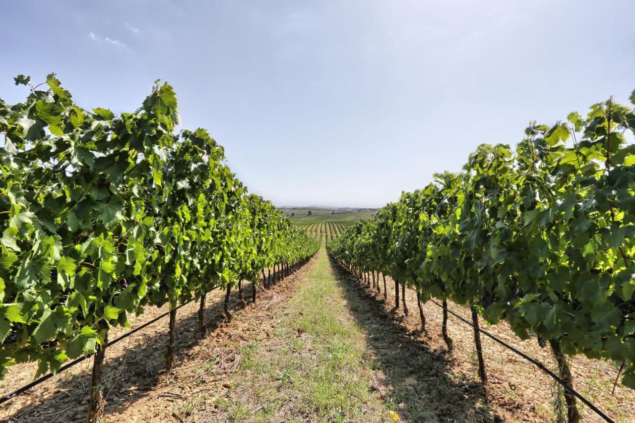 Agriturismo Terra Rossa Valiano Eksteriør billede