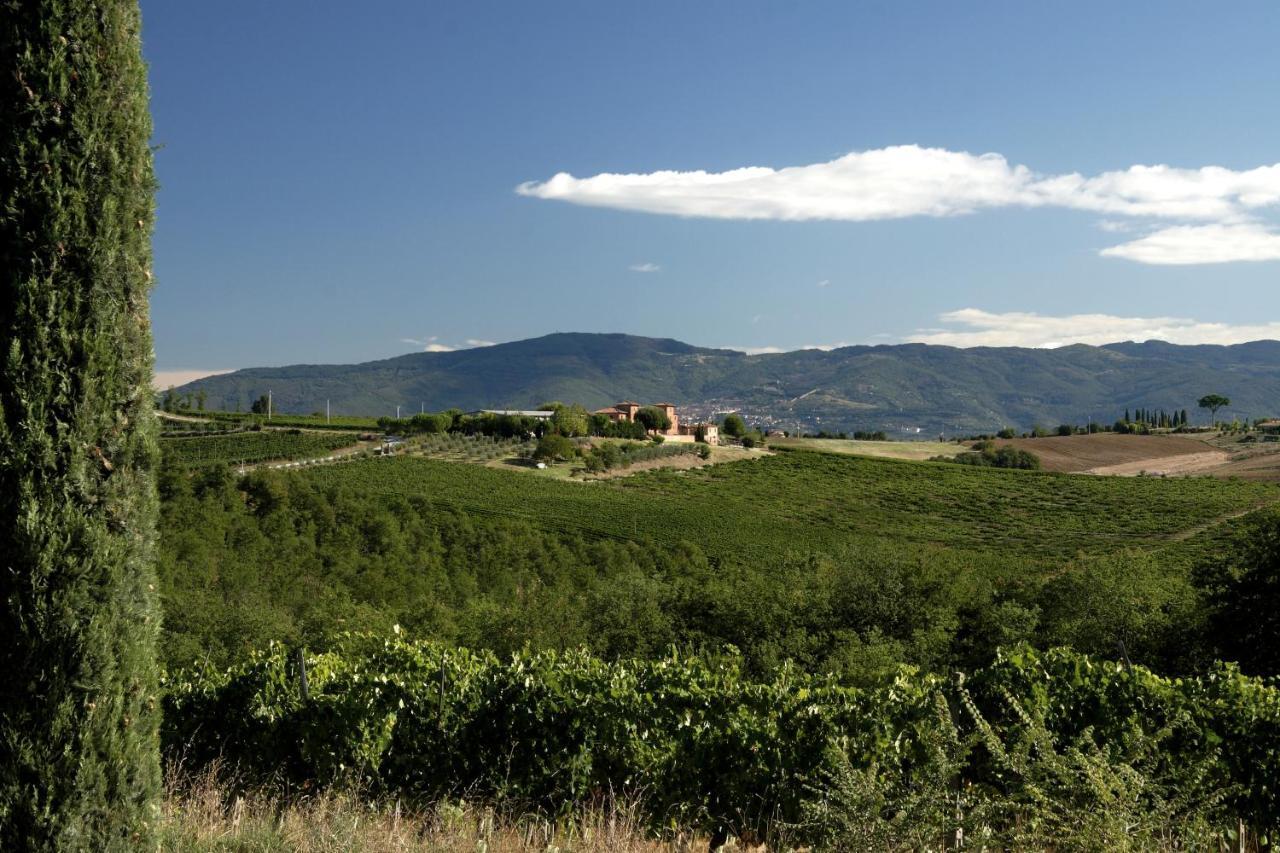 Agriturismo Terra Rossa Valiano Eksteriør billede
